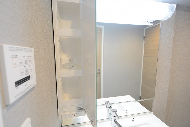 砧公園ヒミコマンション 洗面