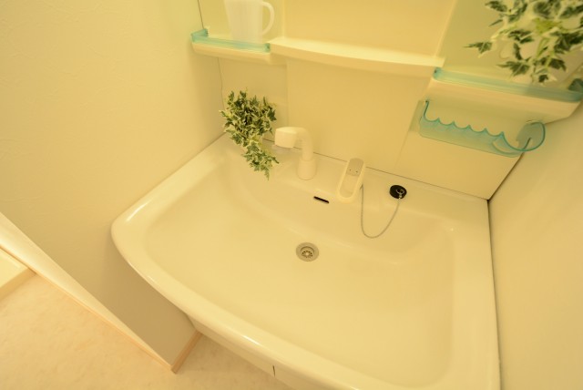 自由ヶ丘フラワーマンション 洗面