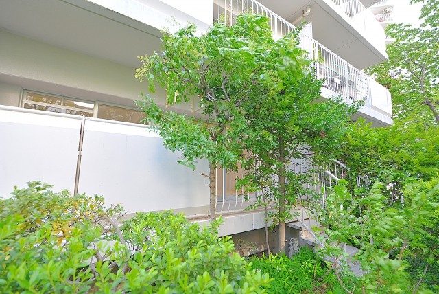 ファミリータウン東陽 専用庭