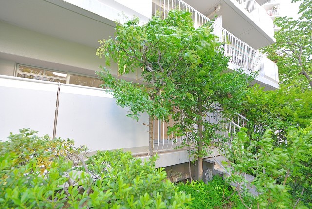 ファミリータウン東陽 専用庭