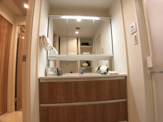 初台パークサイドハイツ 洗面