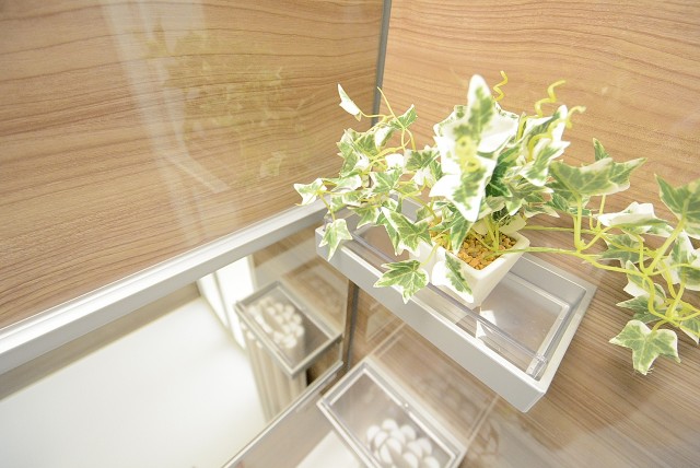 祐天寺第二コーポラス バス