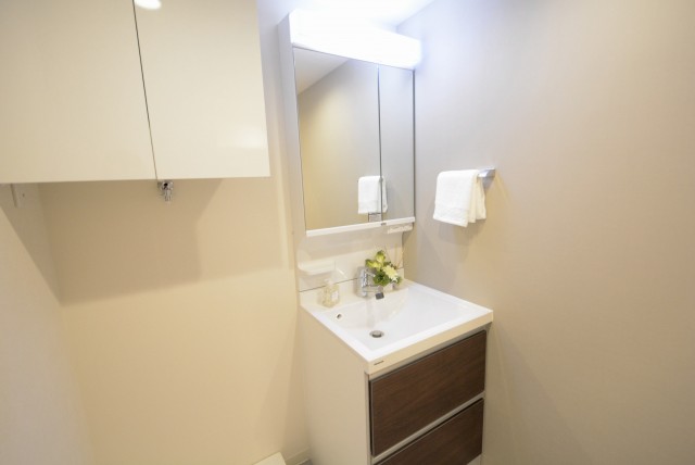 チュリス氷川坂 洗面