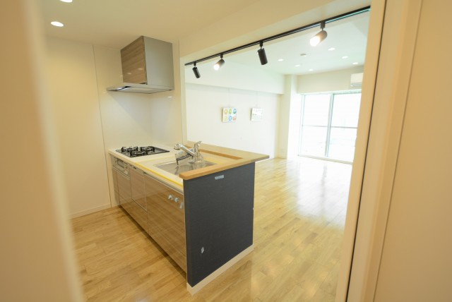 メゾンドール明石 LD