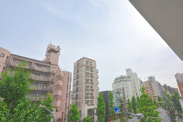 自由が丘セントラルマンション (72)