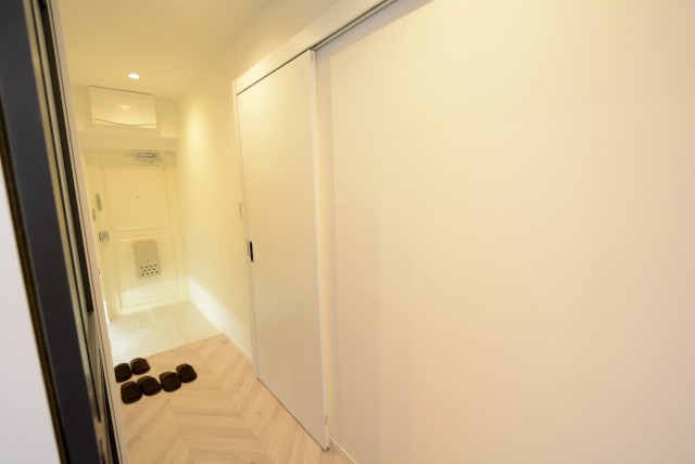 秀和高円寺レジデンス 洗面