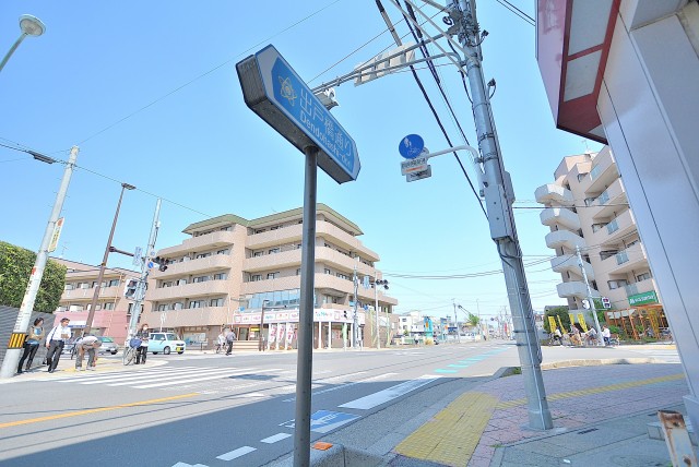 東大宮6丁目土地 仲介手数料無料 東大宮6丁目土地 仲介手数料無料