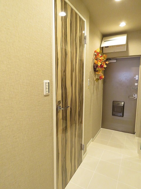 グリーンヒル新宿　洗面室扉