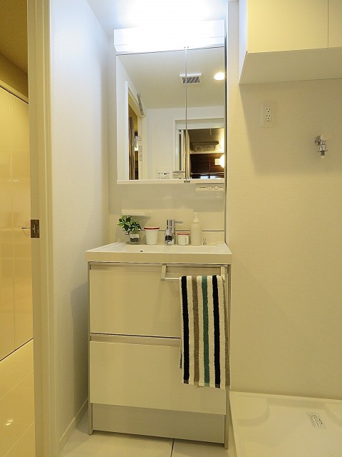 グリーンヒル新宿　洗面化粧台