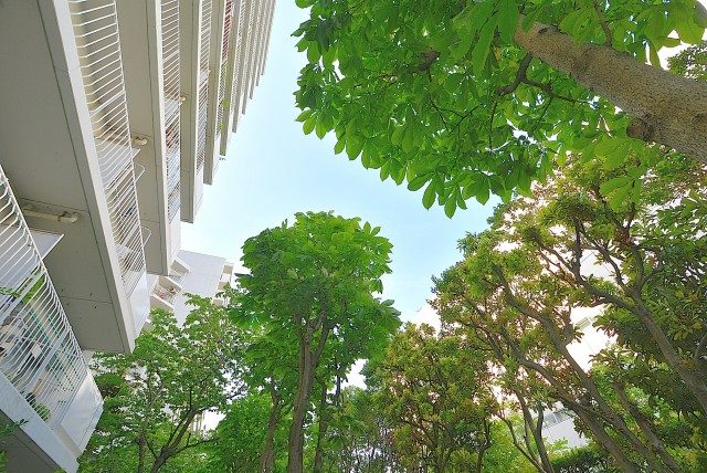 ファミリータウン東陽 専用庭