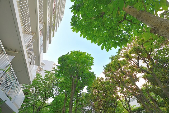 ファミリータウン東陽 専用庭