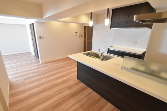 チュリス氷川坂 LDK