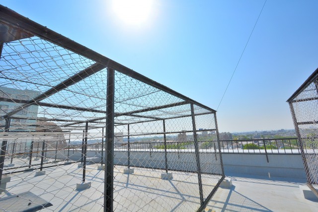 カーサ桜上水屋上