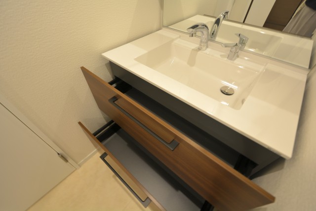 学芸大ハイツ 洗面