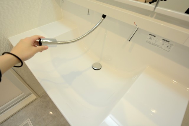 メゾンドール明石 洗面