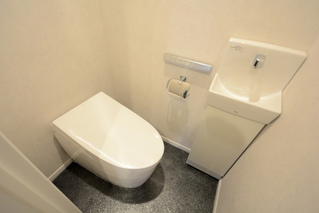 学芸大ハイツ トイレ