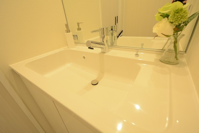 目白台コーポ 洗面