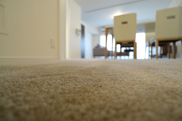 深沢ハイム 洋室３