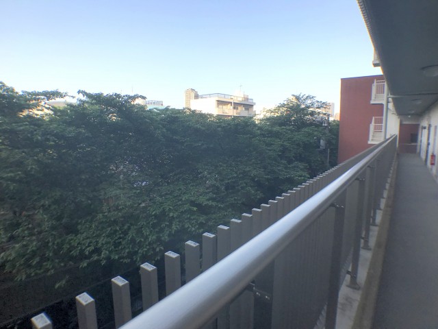 青葉台フラワーマンション (1)外廊下