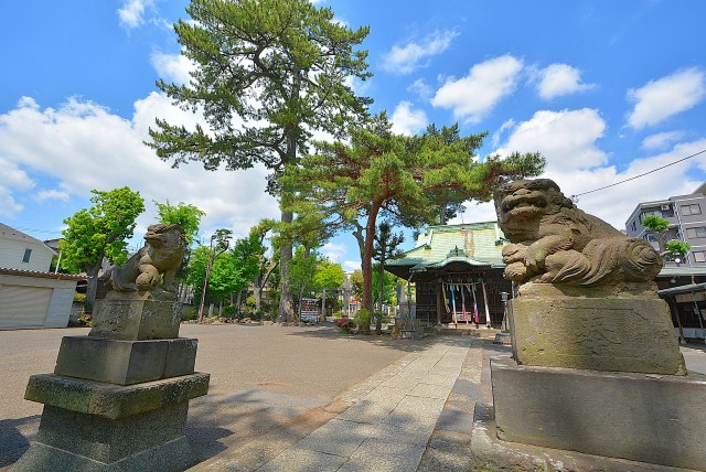 三軒茶屋スカイハイツ