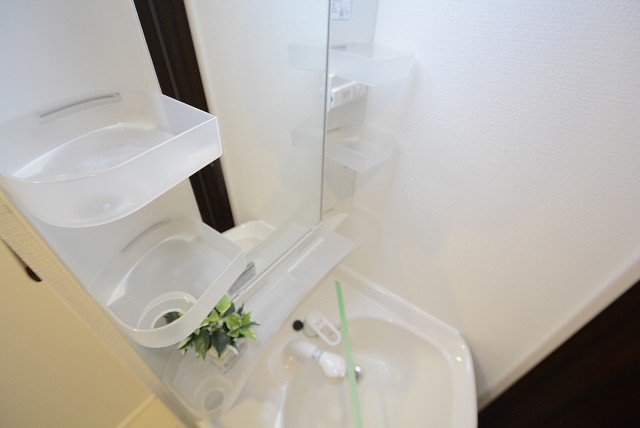 パールハイツ桜上水 洗面