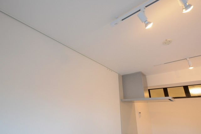 秀和高円寺レジデンス LD