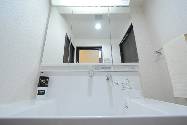 三井音羽ハイツ 洗面