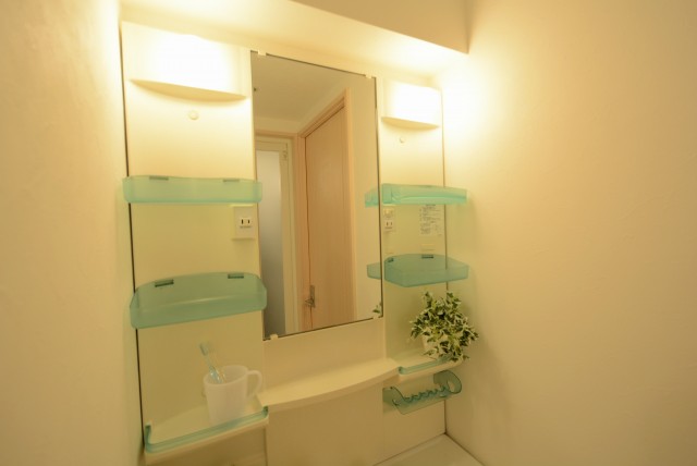 自由ヶ丘フラワーマンション 洗面