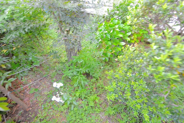 ファミリータウン東陽 専用庭