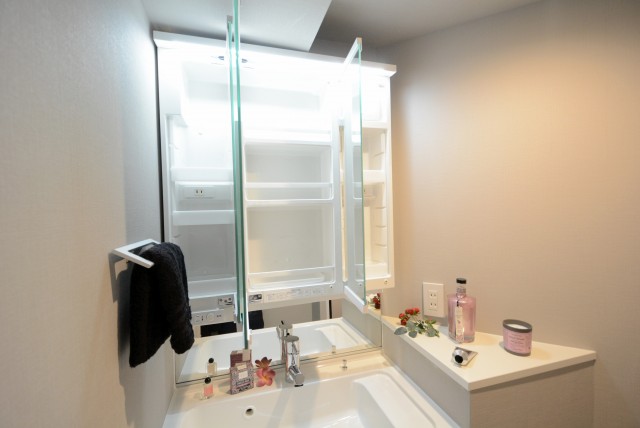 シャンボール尾山台 洗面