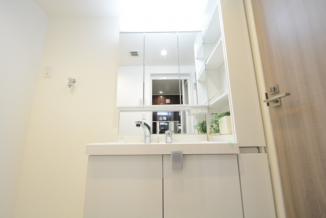 カーサ桜上水 洗面