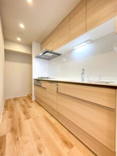 イトーピア渋谷桜ケ丘 キッチン