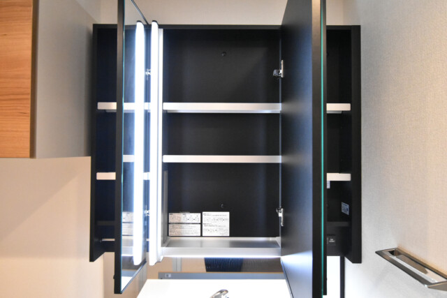 チュリス氷川坂 洗面室