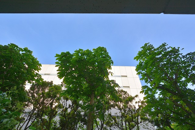 ファミリータウン東陽 バルコニー