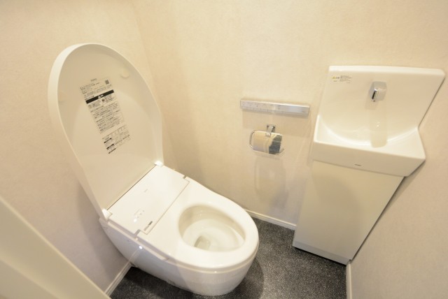 学芸大ハイツ トイレ