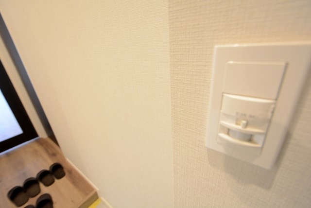 マンション駒場 (13)玄関