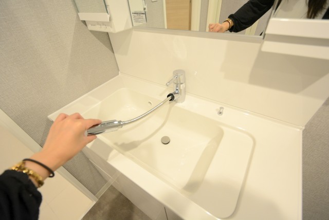 大森ハイツ 洗面