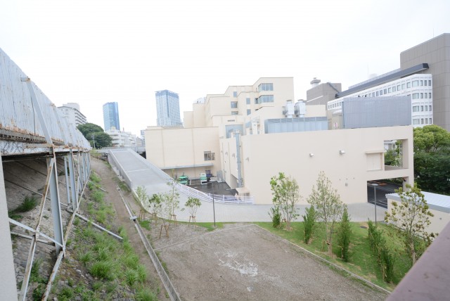 マンション駒場 バルコニー1