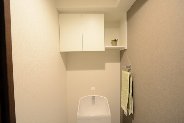 三井音羽ハイツ (63)トイレ