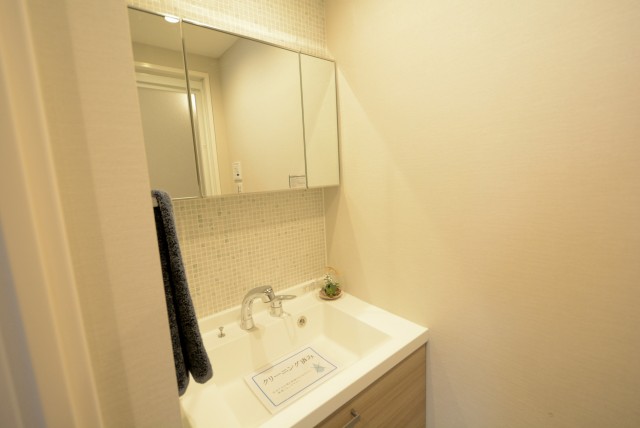 シャンボール荻窪 洗面