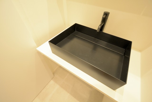 秀和高円寺レジデンス 洗面