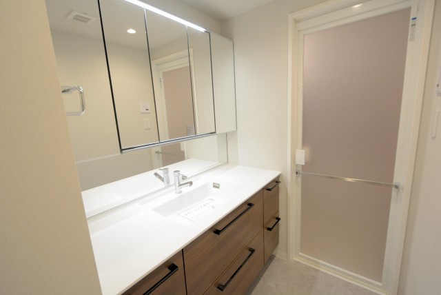 マンション駒場 洗面