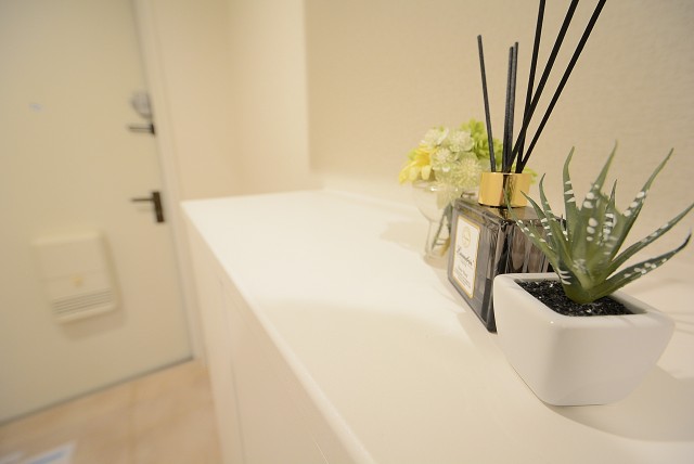 三井音羽ハイツ 玄関