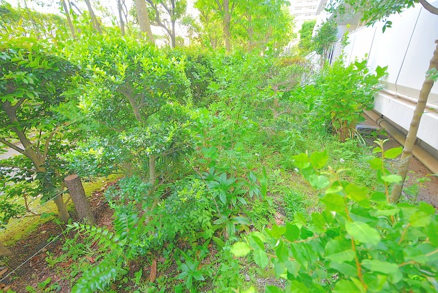 ファミリータウン東陽 専用庭