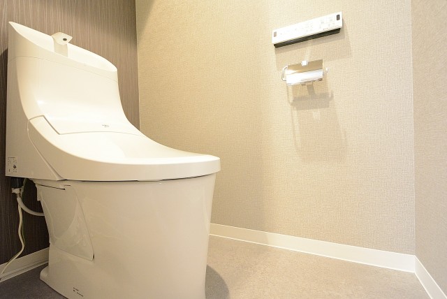 砧公園ヒミコマンション トイレ