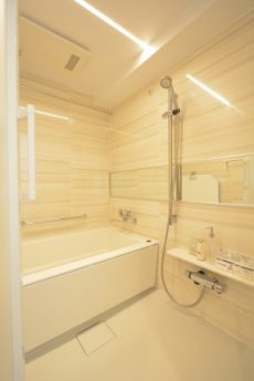 エクセル東陽町 洗面室