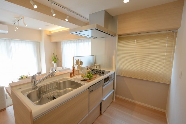 マンション第2明大前 キッチン