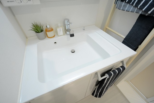 ライオンズマンション駒込第2 洗面