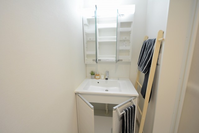 ライオンズマンション駒込第2 洗面