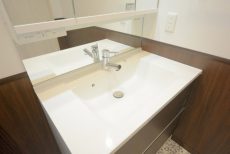 秀和第二自由が丘レジデンス 洗面 秀和第二自由が丘レジデンス 洗面